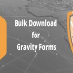 Bulk Actions For Gravity Forms - Premium WordPress Plugin