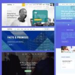 Capital Multi Purpose Business Wordpress Theme - Premium Theme