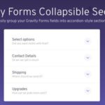 Gf Addon Collapsible Sections - Premium WordPress Plugin