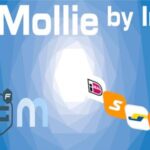 Gravity Forms Addon Mollie - Premium WordPress Plugin