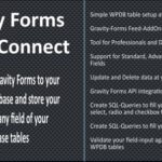Gravity Forms Wpdb / Mysql Connect - Premium WordPress Plugin