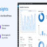 MonsterInsights Pro – The Best Google Analytics Plugin