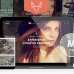 Moose - Creative Multipurpose Theme