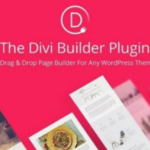 Divi - The Ultimate WordPress Page Builder