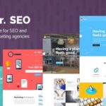 Mr. SEO - Social Media Marketing Agency Theme
